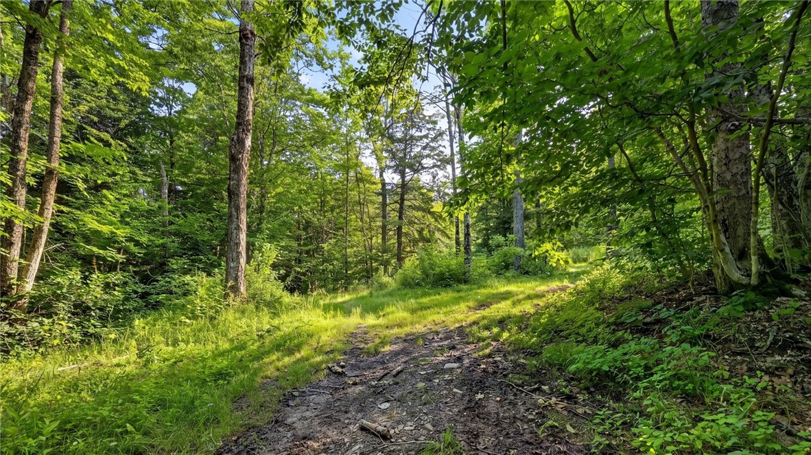 159 Seven Ponds Road Summit, NY 12175 - Photo 46 of 49 Gallery Image 46