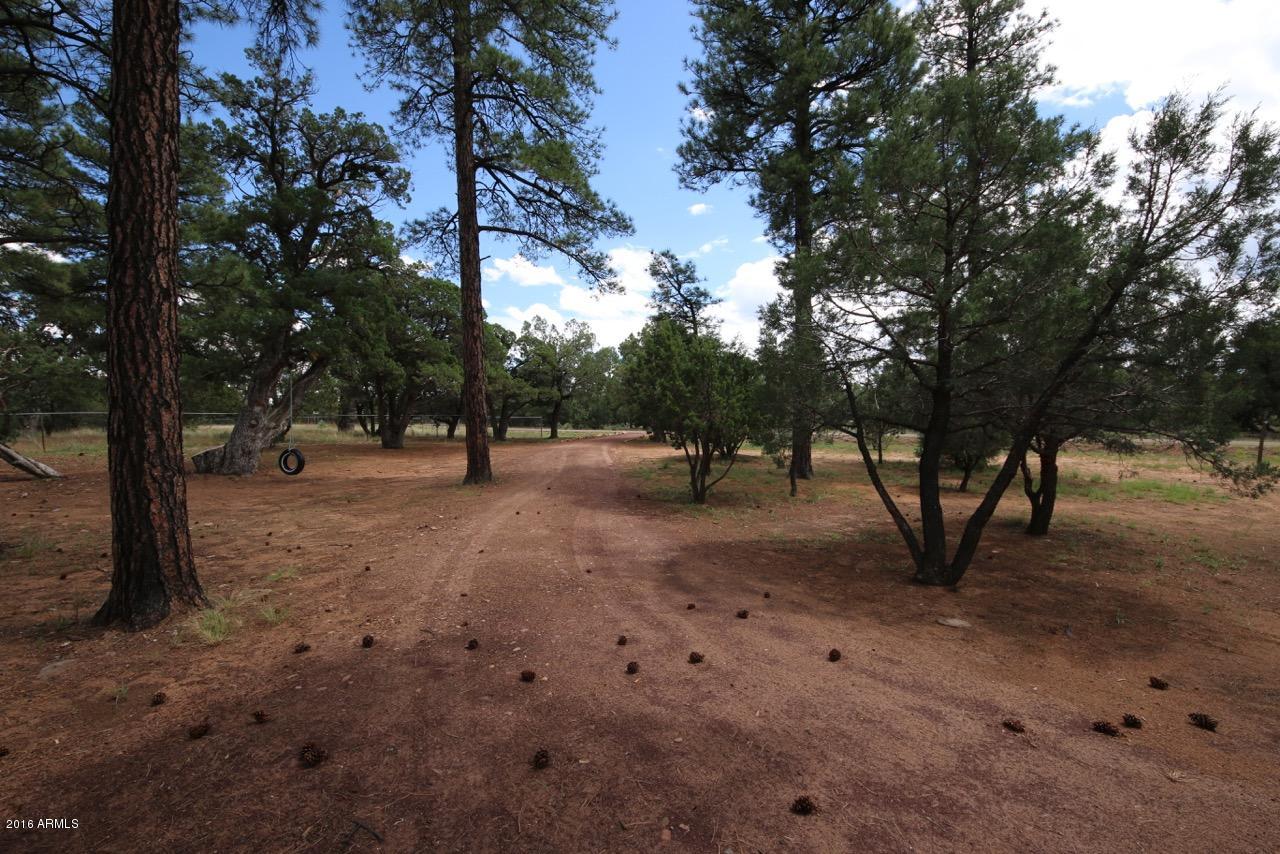 3070 Aspen Road Overgaard, AZ 85933 - Photo 20 of 38 a view of outdoor space with lots of trees