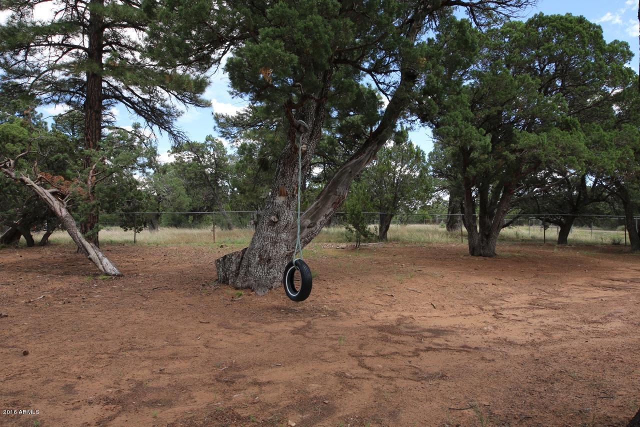 3070 Aspen Road Overgaard, AZ 85933 - Photo 5 of 38 a view of a tree in the middle of a yard