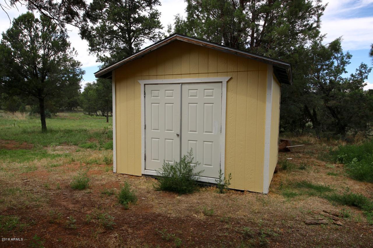 3070 Aspen Road Overgaard, AZ 85933 - Photo 8 of 38 a view of a wooden house with a small yard