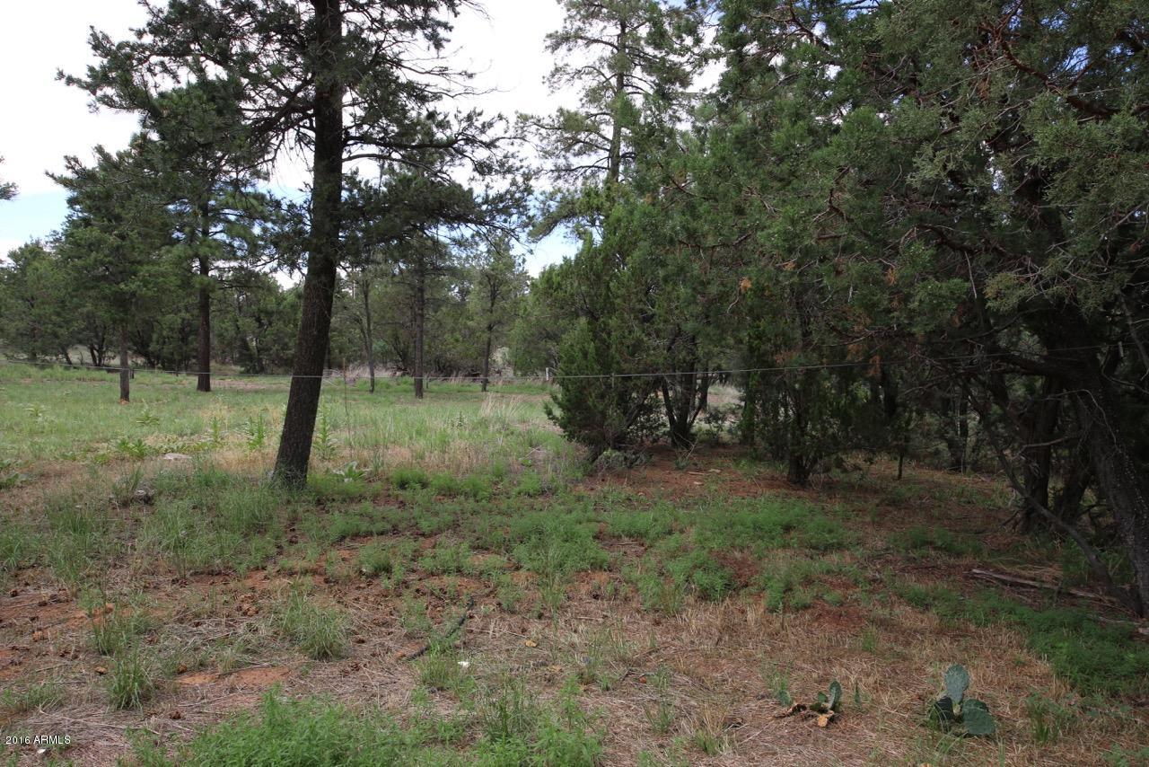 3070 Aspen Road Overgaard, AZ 85933 - Photo 10 of 38 IMG_3241