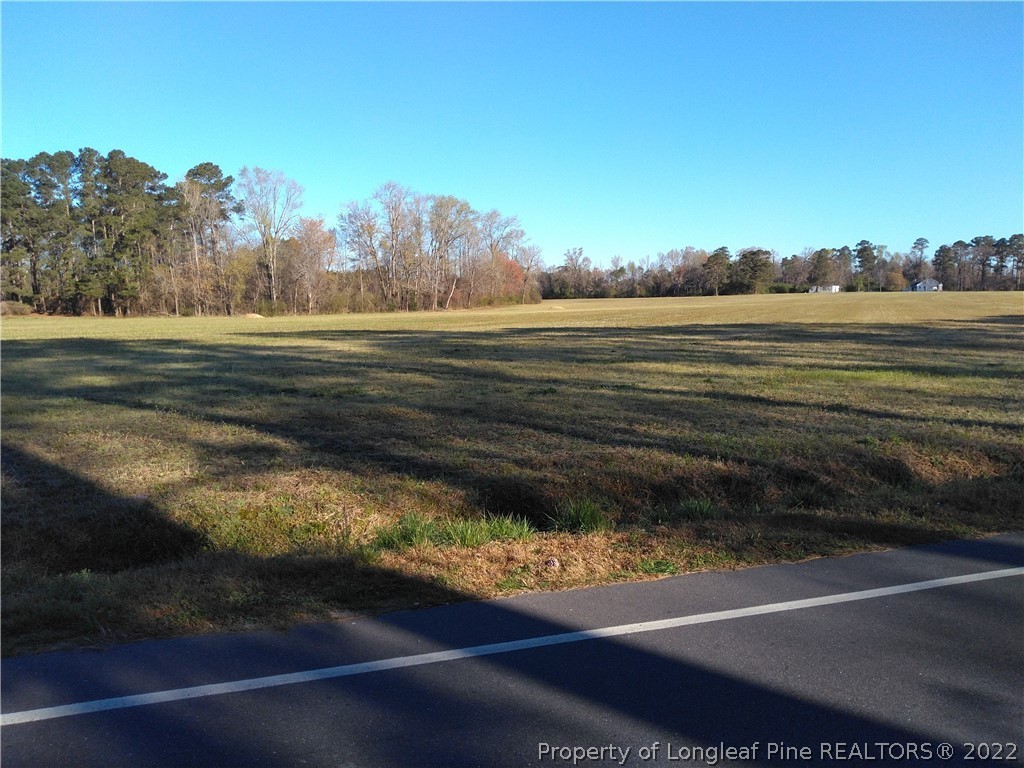 Sivertsen Road Autryville, NC 28318 - Photo 1 of 2 a view of a yard next to a lake