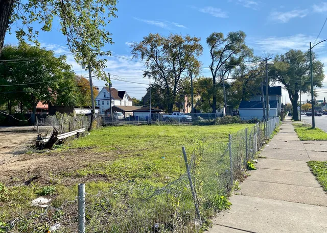 a view of a park with large trees