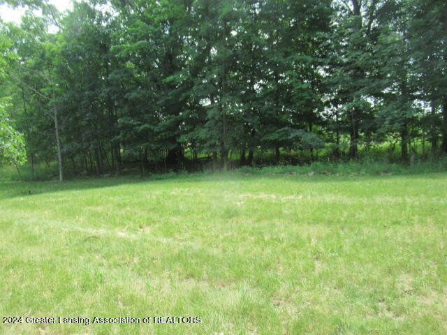7436 Stow Road Fowlerville, MI 48836 - Photo 23 of 25 IMG_3844