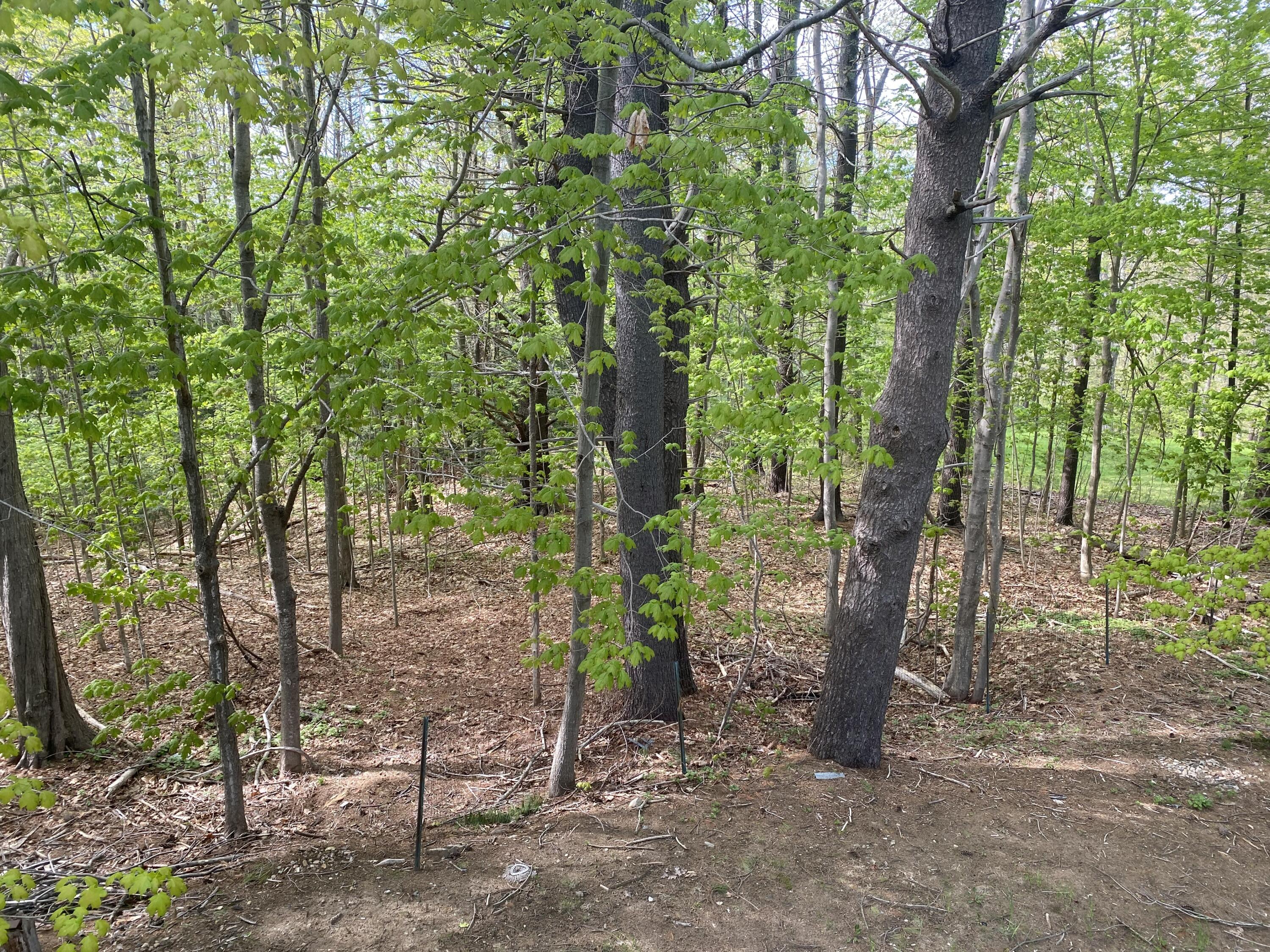 50 Ross Road Saco, ME 04072 - Photo 39 of 44 Backyard