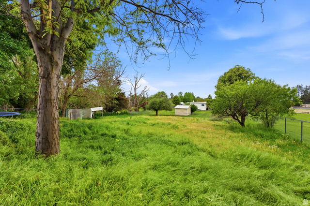 871 Bonita Way Centerville, UT 84014 - Photo 49 of 61 Expansive outdoor space featuring a large grassy area, mature trees providing natural shade, and a chain-link fence defining the property boundary