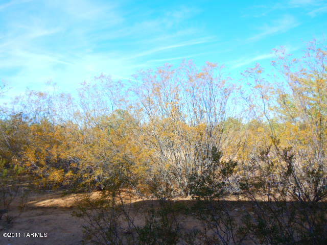 11634 West Ina Road Tucson, AZ 85743 - Photo 18 of 22 Gallery Image 18