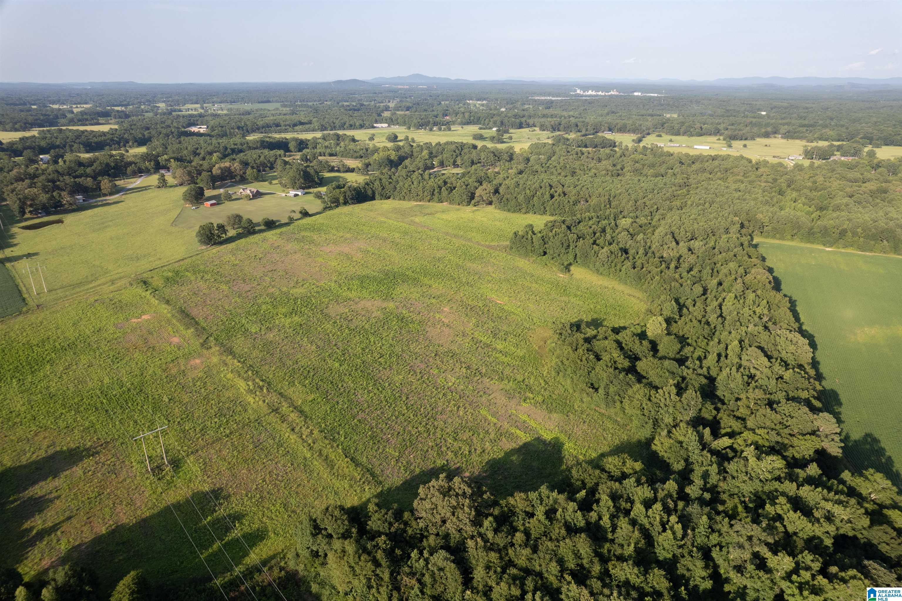 0 Sun Valley Road, Unit 1 Harpersville, AL 35078 - Photo 6 of 9