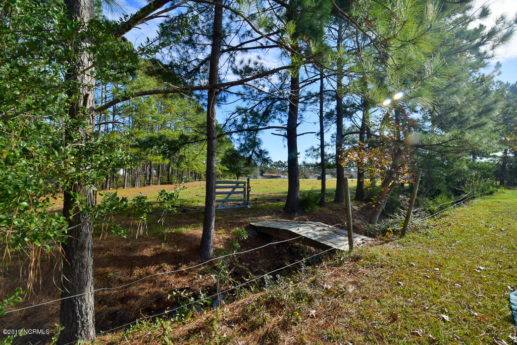 437 Tuttles Grove Road Beaufort, NC 28516 - Photo 16 of 30 DSC_0660-2