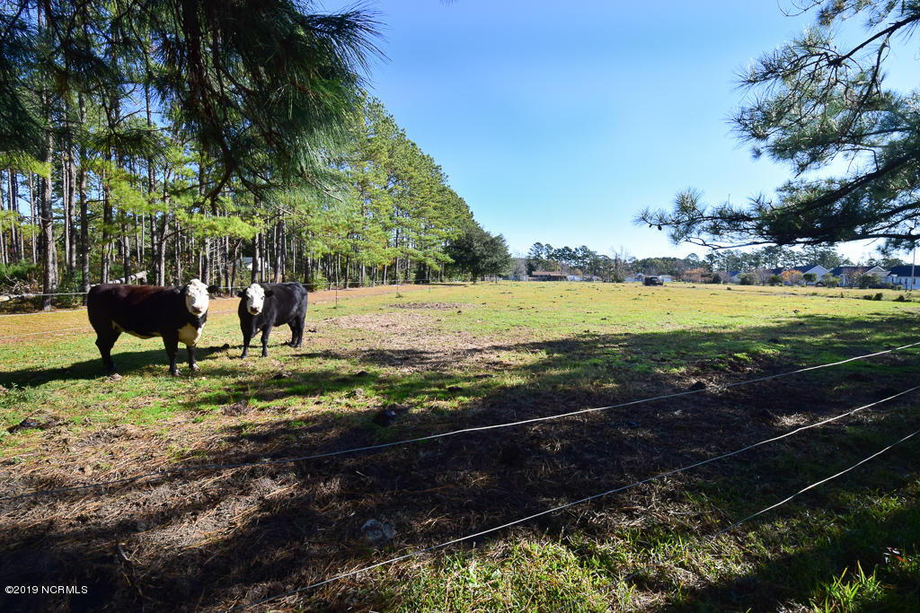 437 Tuttles Grove Road Beaufort, NC 28516 - Photo 18 of 30 DSC_0618-2