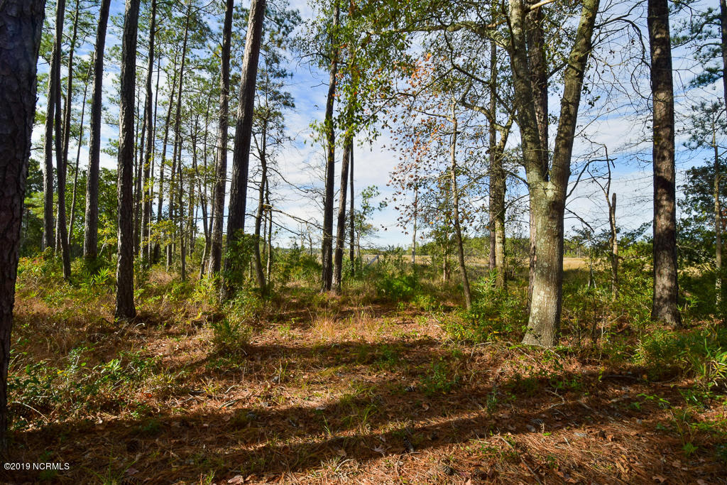 437 Tuttles Grove Road Beaufort, NC 28516 - Photo 22 of 30 DSC_0674-3
