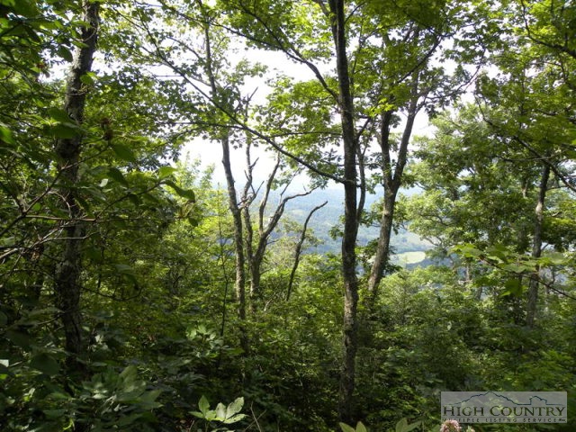Lot #14 Saddle Road Boone, NC 28607 - Photo 3 of 6