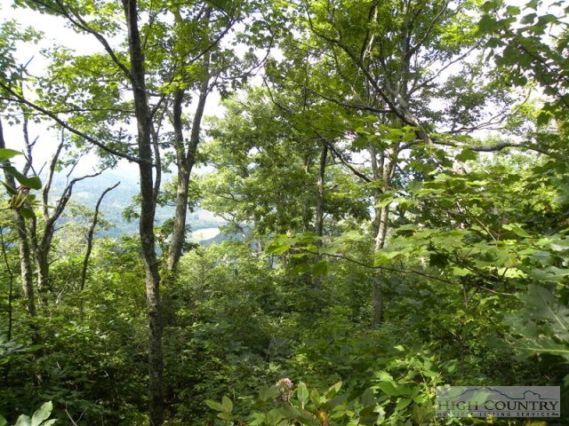Lot #14 Saddle Road Boone, NC 28607 - Photo 4 of 6