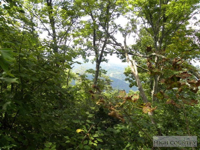 Lot #14 Saddle Road Boone, NC 28607 - Photo 5 of 6