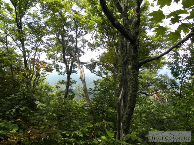 Lot #14 Saddle Road Boone, NC 28607 - Photo 6 of 6