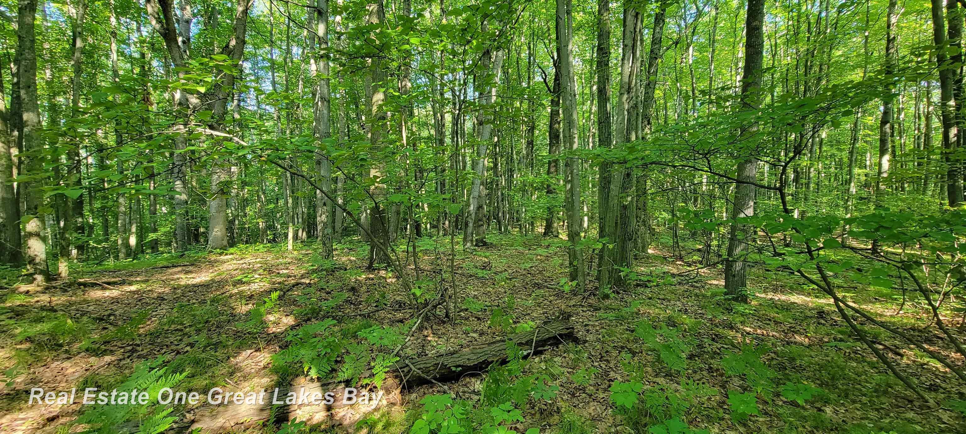 Vl South Old State Road Harrison, MI 48625 - Photo 19 of 33 Gallery Image 19