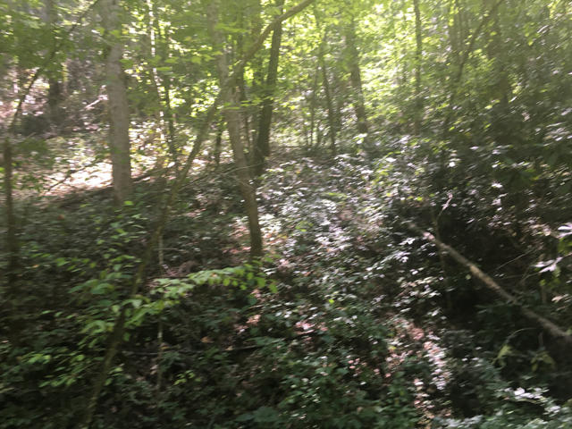 Briar Branch Road Walland, TN 37886 - Photo 4 of 7 IMG-0841
