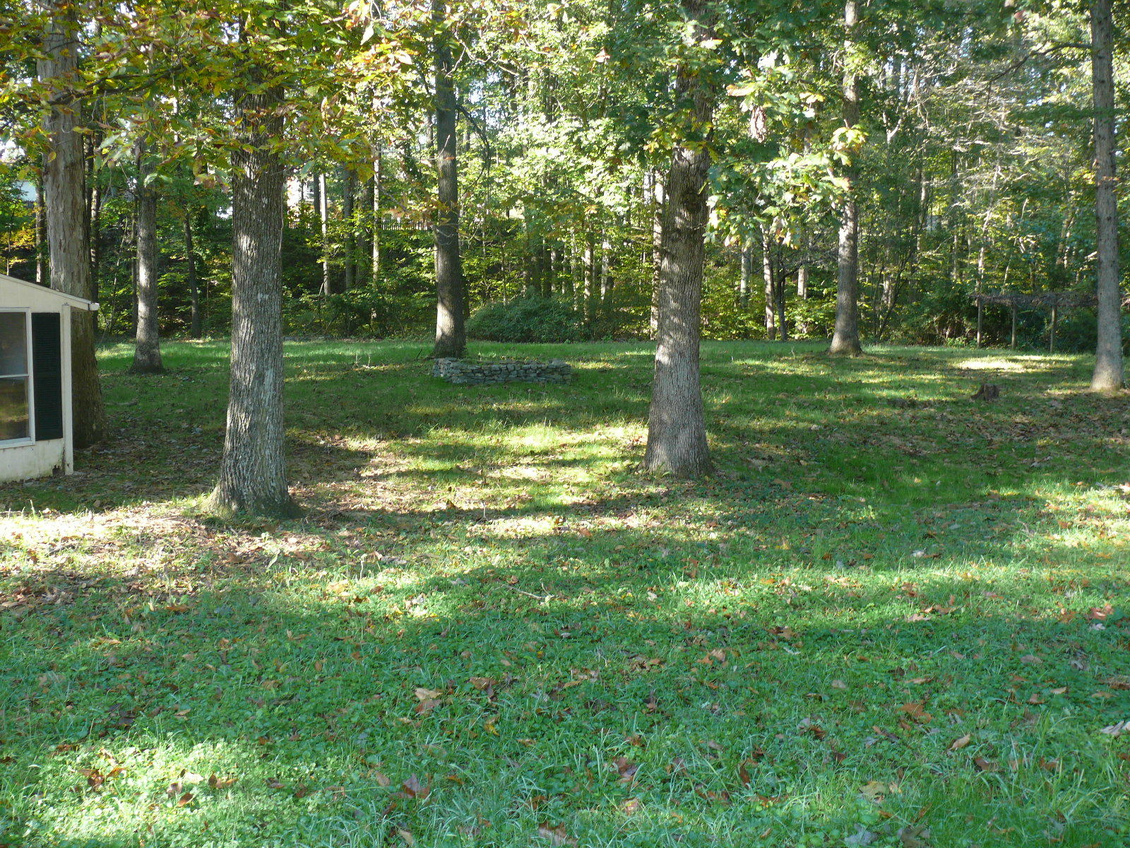 367 Scalybark Drive Blue Ridge, VA 24064 - Photo 30 of 37 a view of a park with large trees