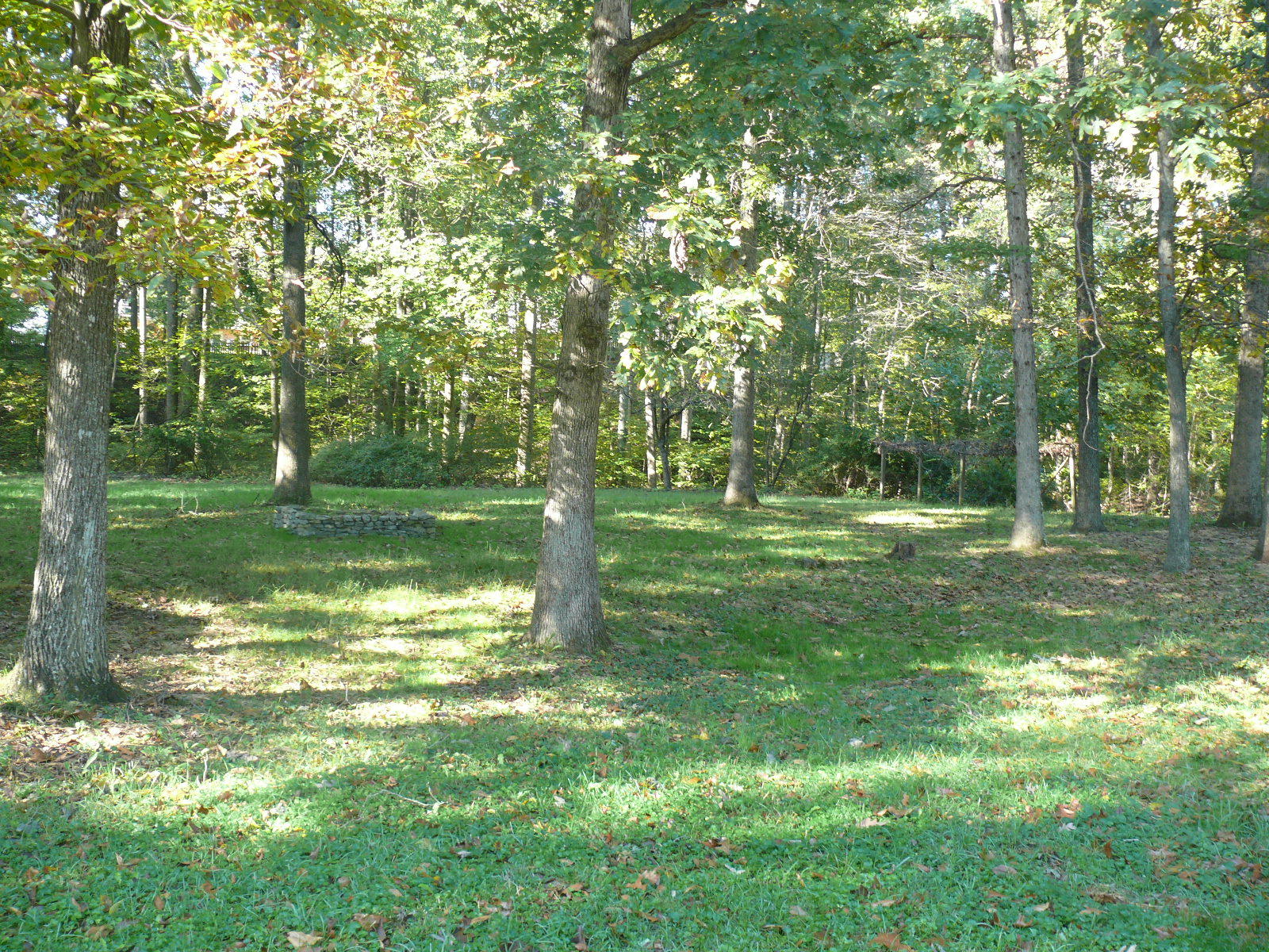 367 Scalybark Drive Blue Ridge, VA 24064 - Photo 32 of 37 a view of a park with large trees
