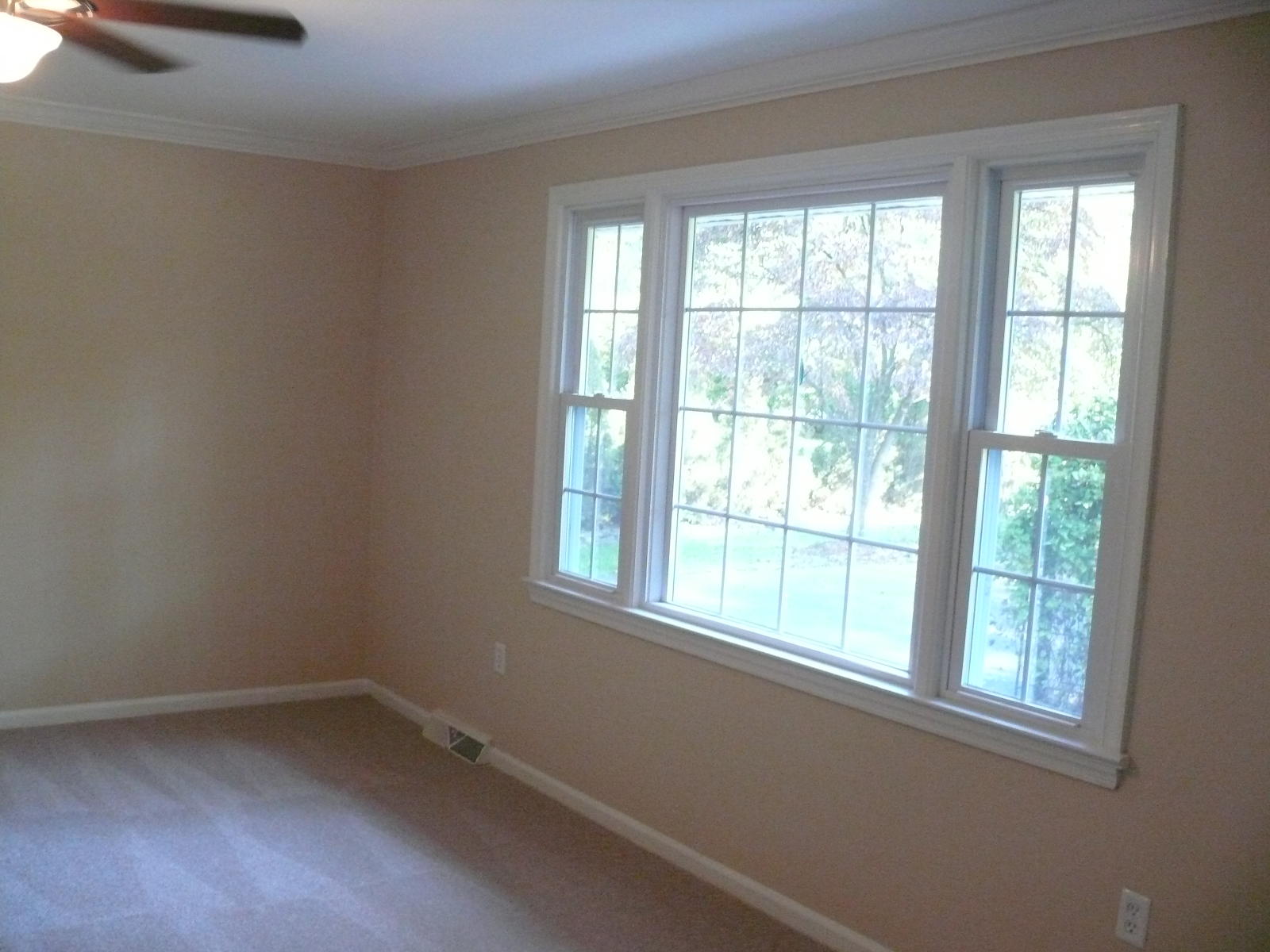 367 Scalybark Drive Blue Ridge, VA 24064 - Photo 5 of 37 an empty room with a window