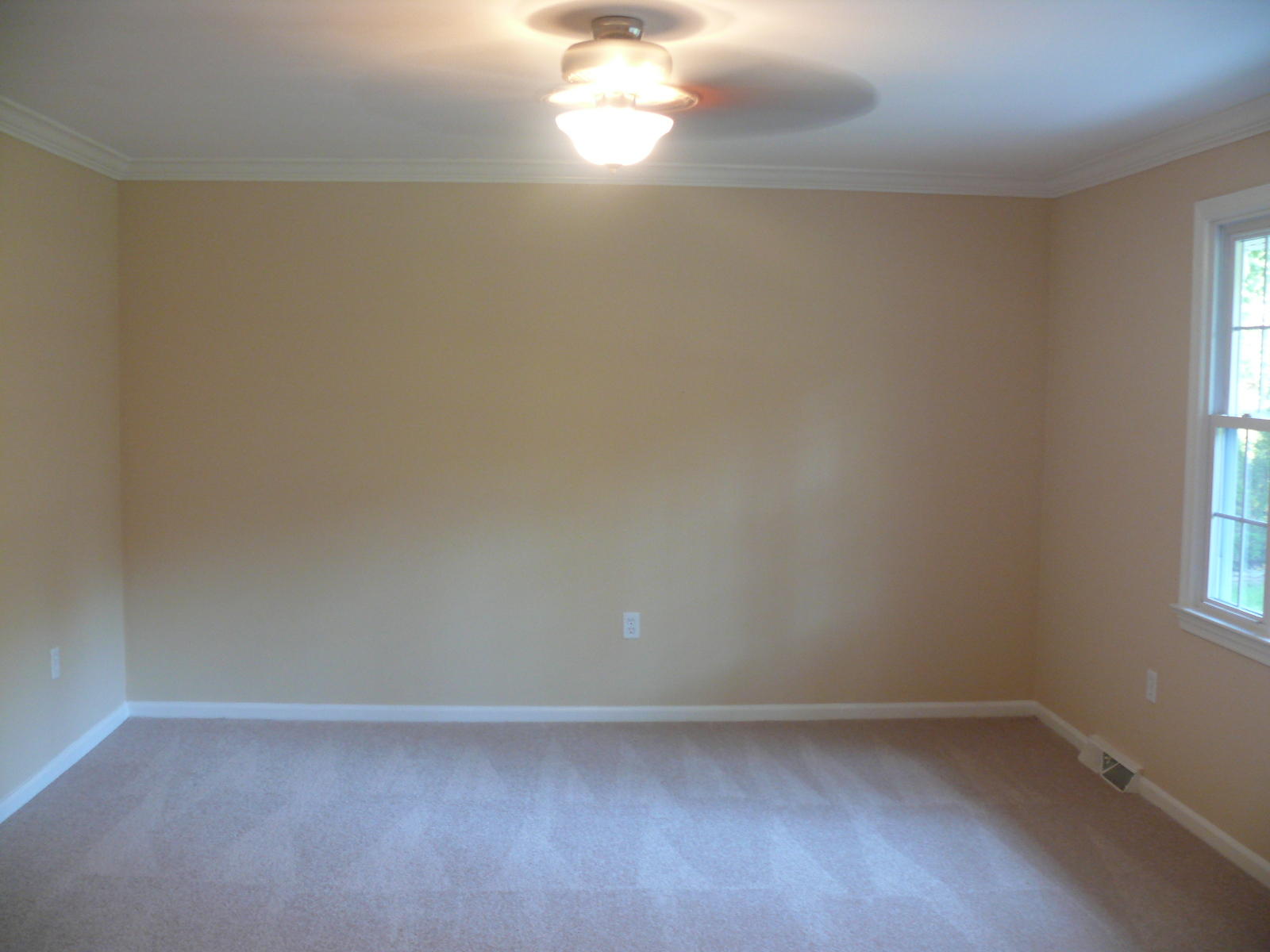 367 Scalybark Drive Blue Ridge, VA 24064 - Photo 6 of 37 a view of an empty room and window