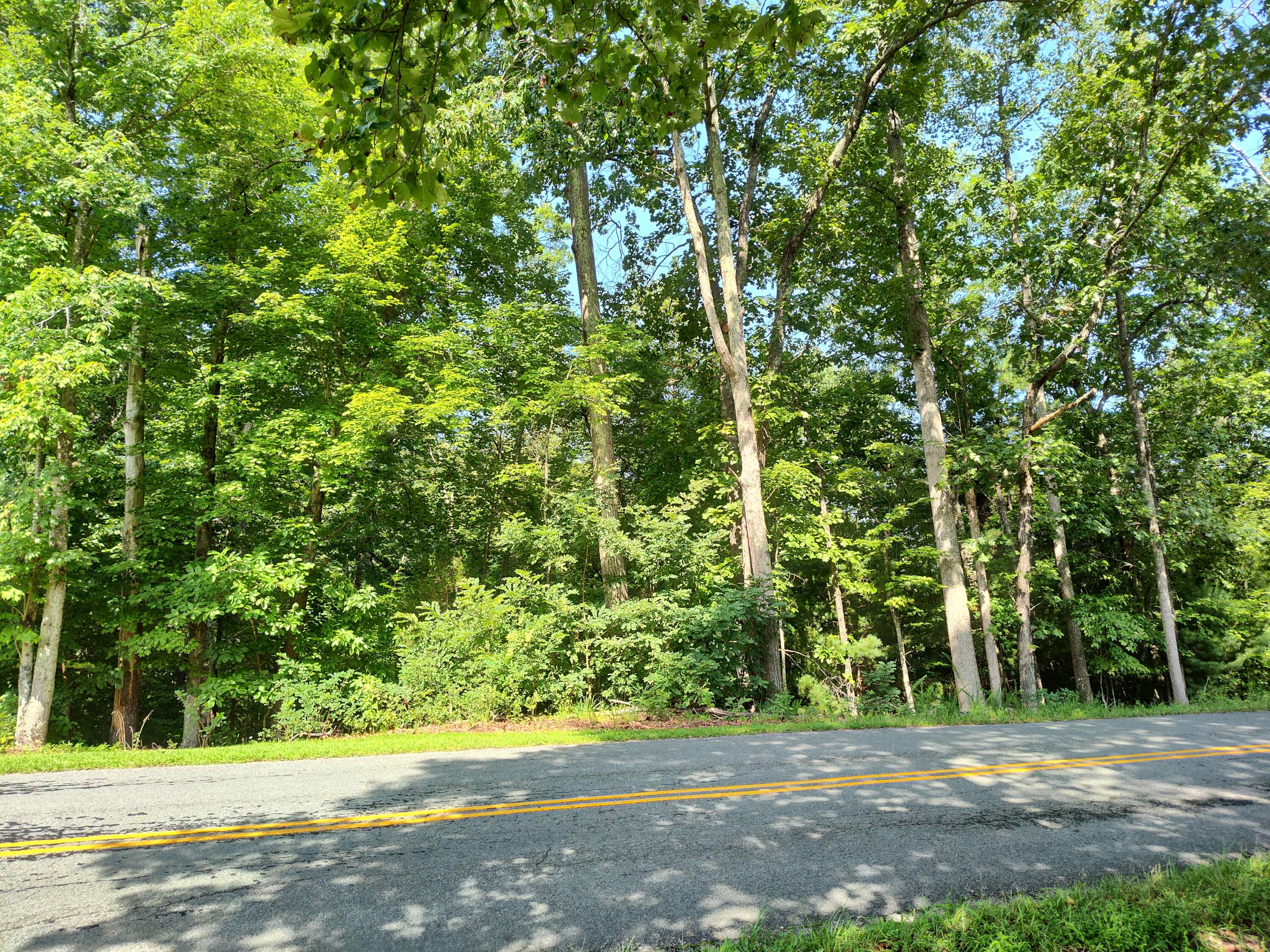 2 Eton Road Hardy, VA 24101 - Photo 1 of 4 Road Access