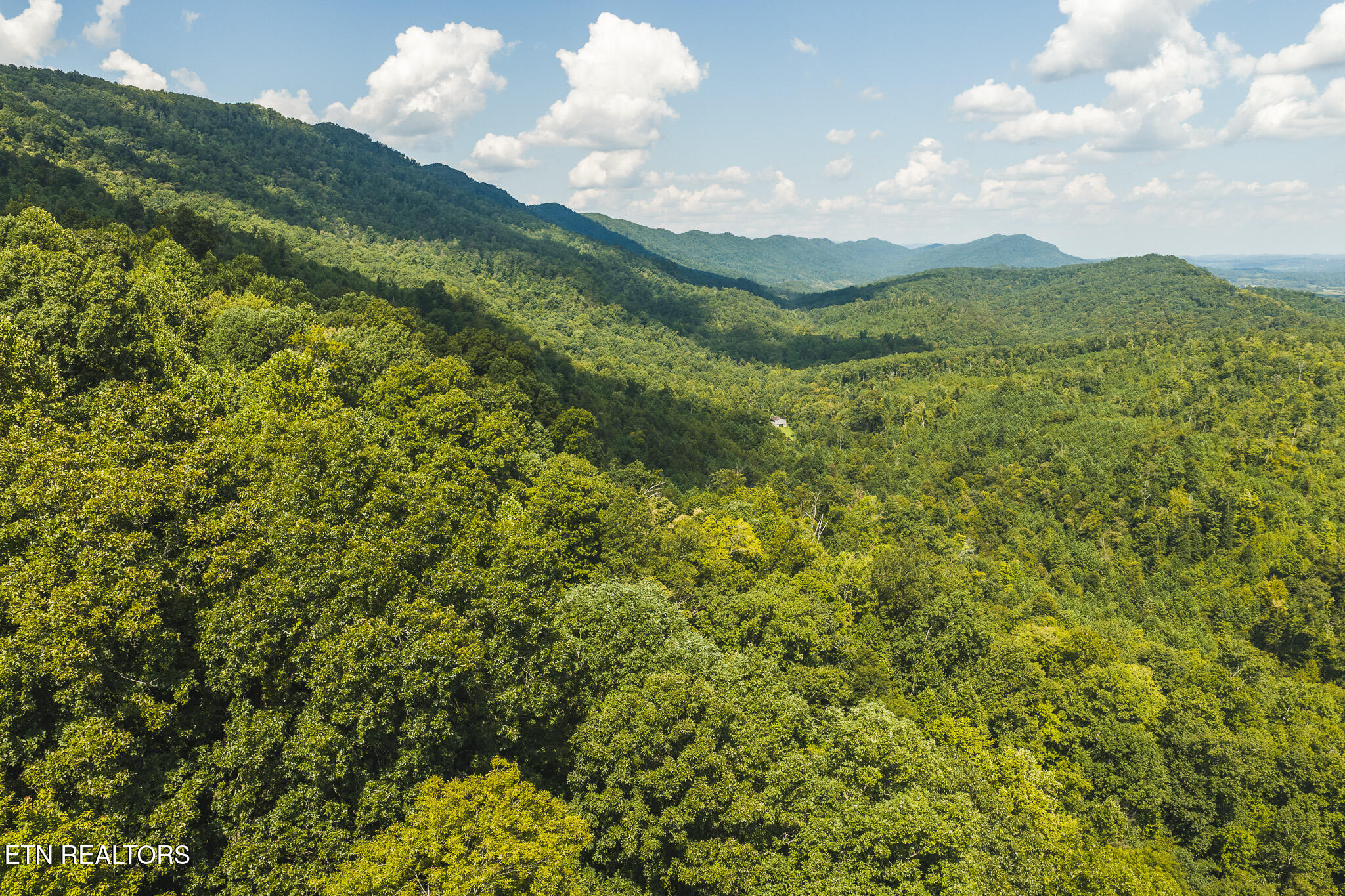 Watson Hollow Road Speedwell, TN 37870 - Photo 22 of 37 DJI_20260902153758_0926_D