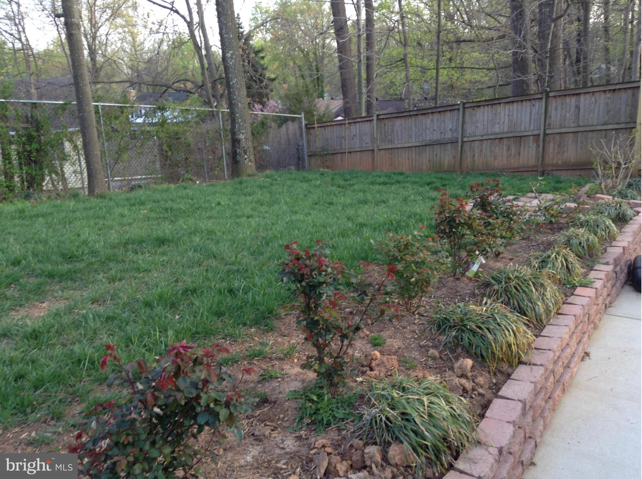 Exterior (Rear) The green grass of home bkyd