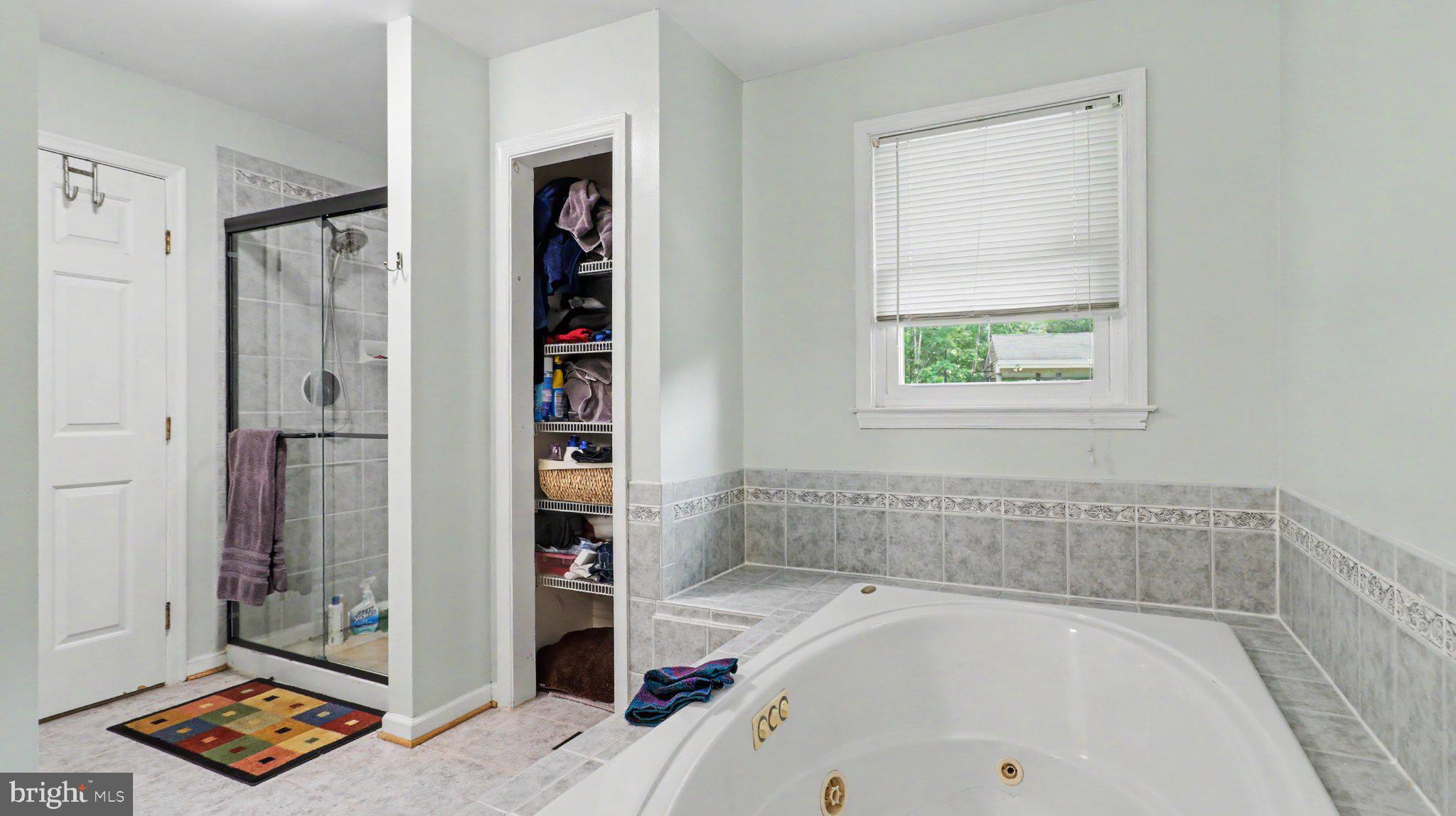 2113 Courthouse Road Catlett, VA 20119 - Photo 73 of 87 Serene bathroom retreat with elegance.