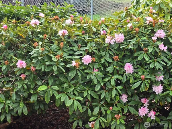 $152,000 | 212 Old Owen Road, Unit 59, Sultan, WA 98294