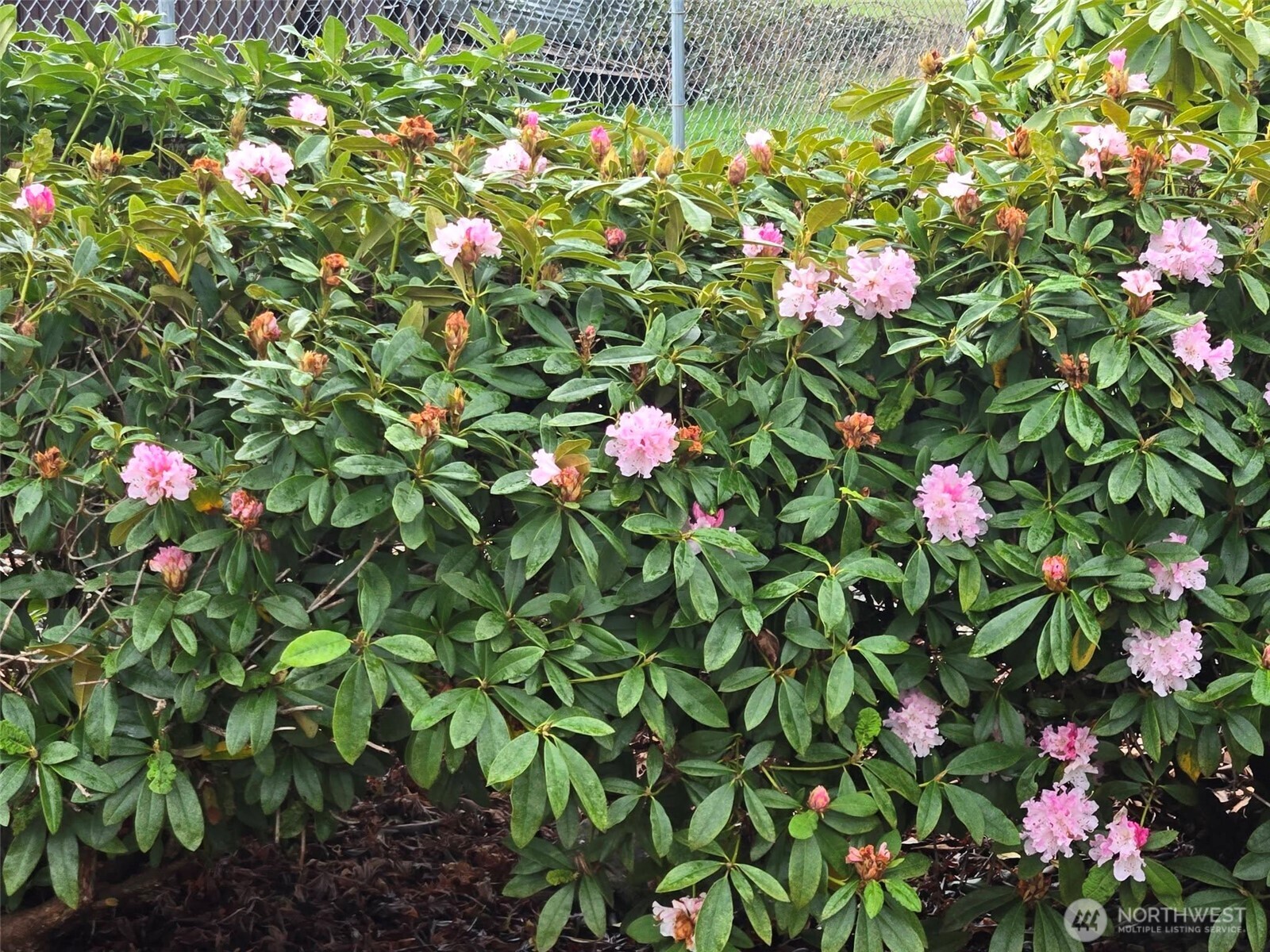 212 Old Owen Road, Unit 59 Sultan, WA 98294 - Photo 18 of 18