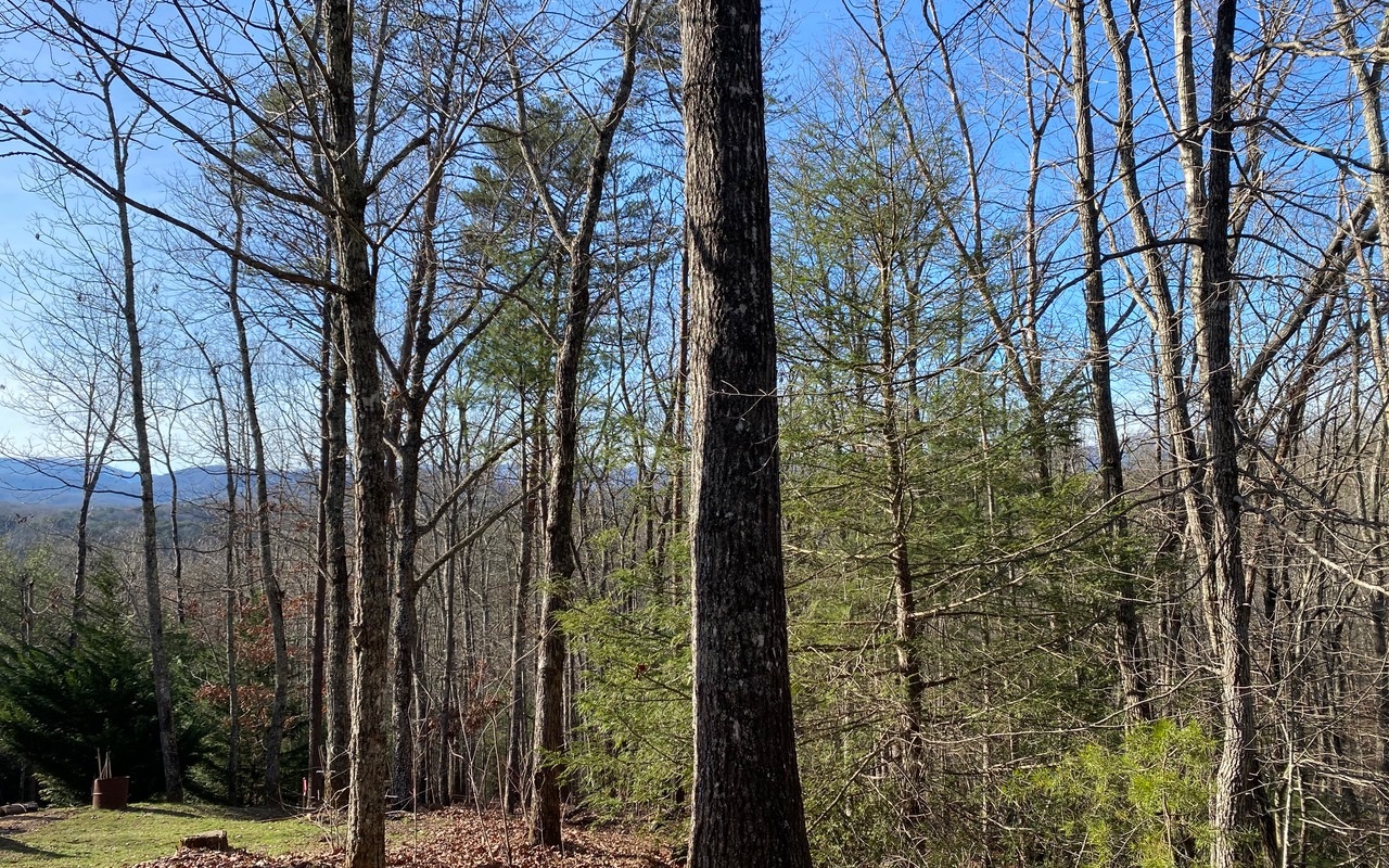 Lot13 Price Road Blue Ridge, GA 30513 - Photo 2 of 7 Additional View