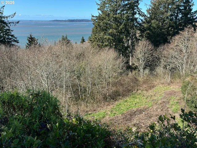 a view of a lake with a tree