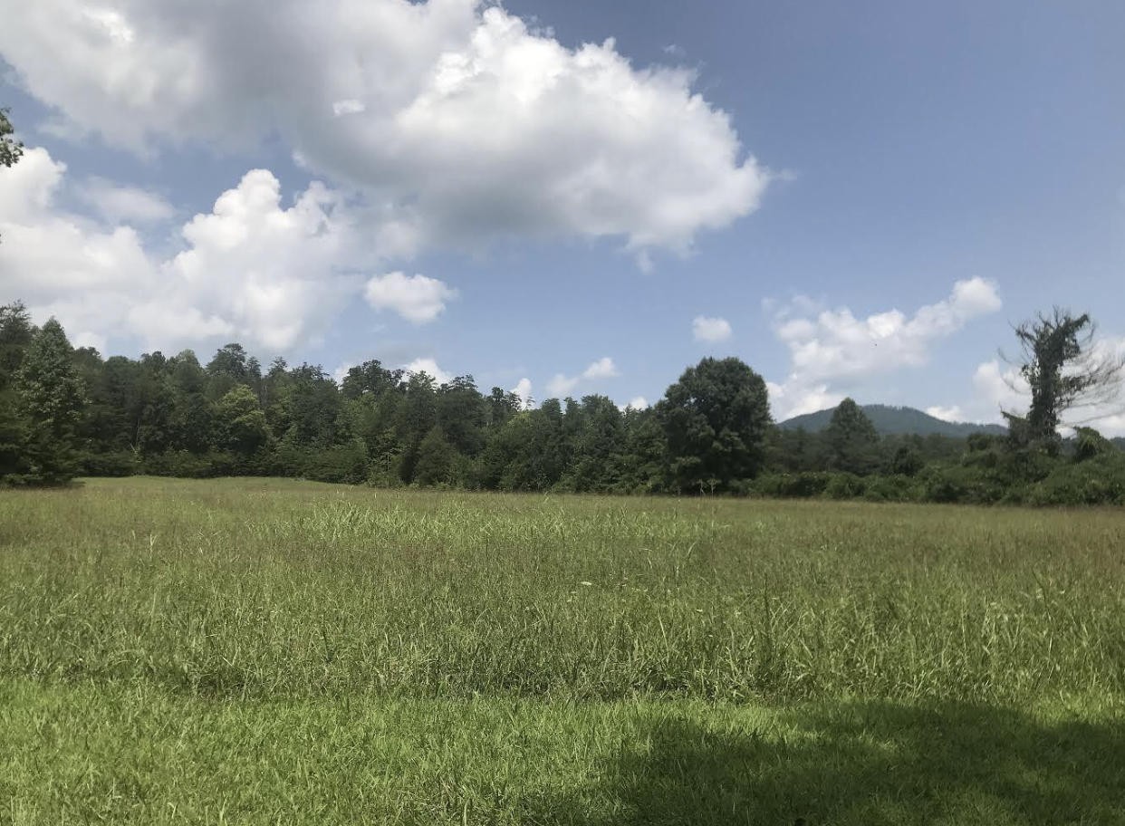 0 Wilhite Road Sevierville, TN 37876 - Photo 1 of 4
