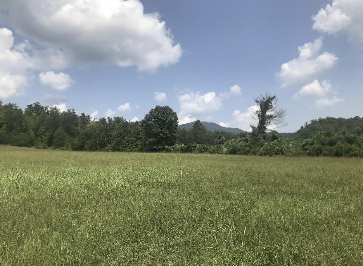 0 Wilhite Road Sevierville, TN 37876 - Photo 2 of 4