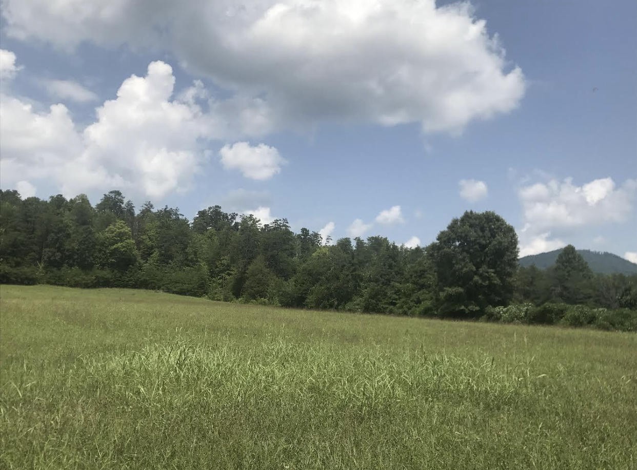 0 Wilhite Road Sevierville, TN 37876 - Photo 4 of 4