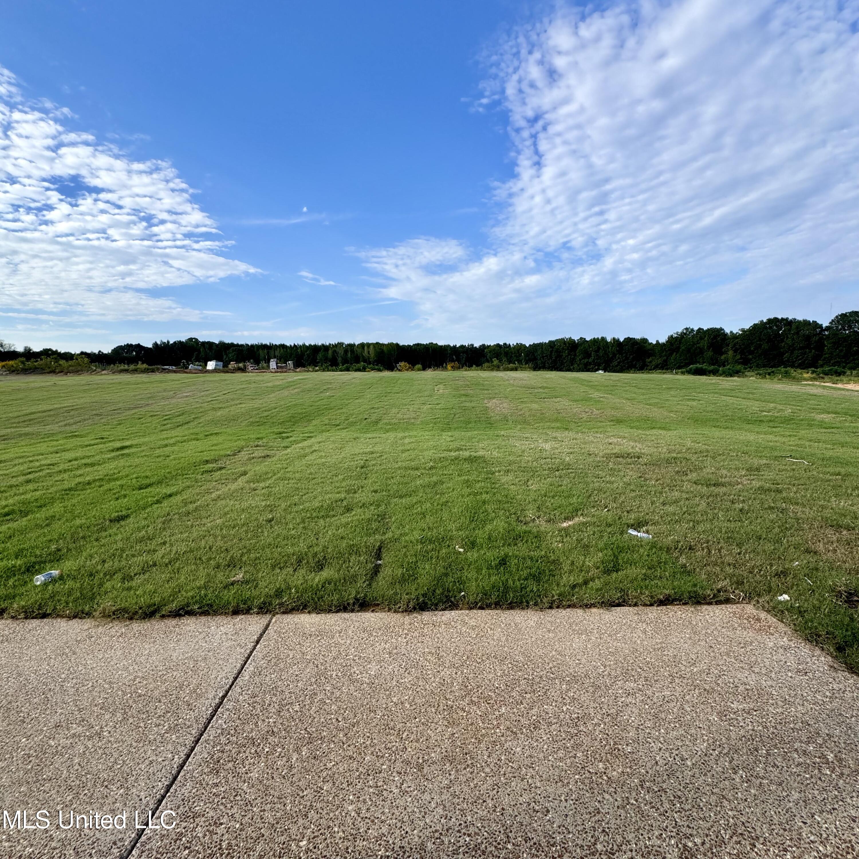 756 Wells Drive Hernando, MS 38632 - Photo 55 of 55 Iris back yard