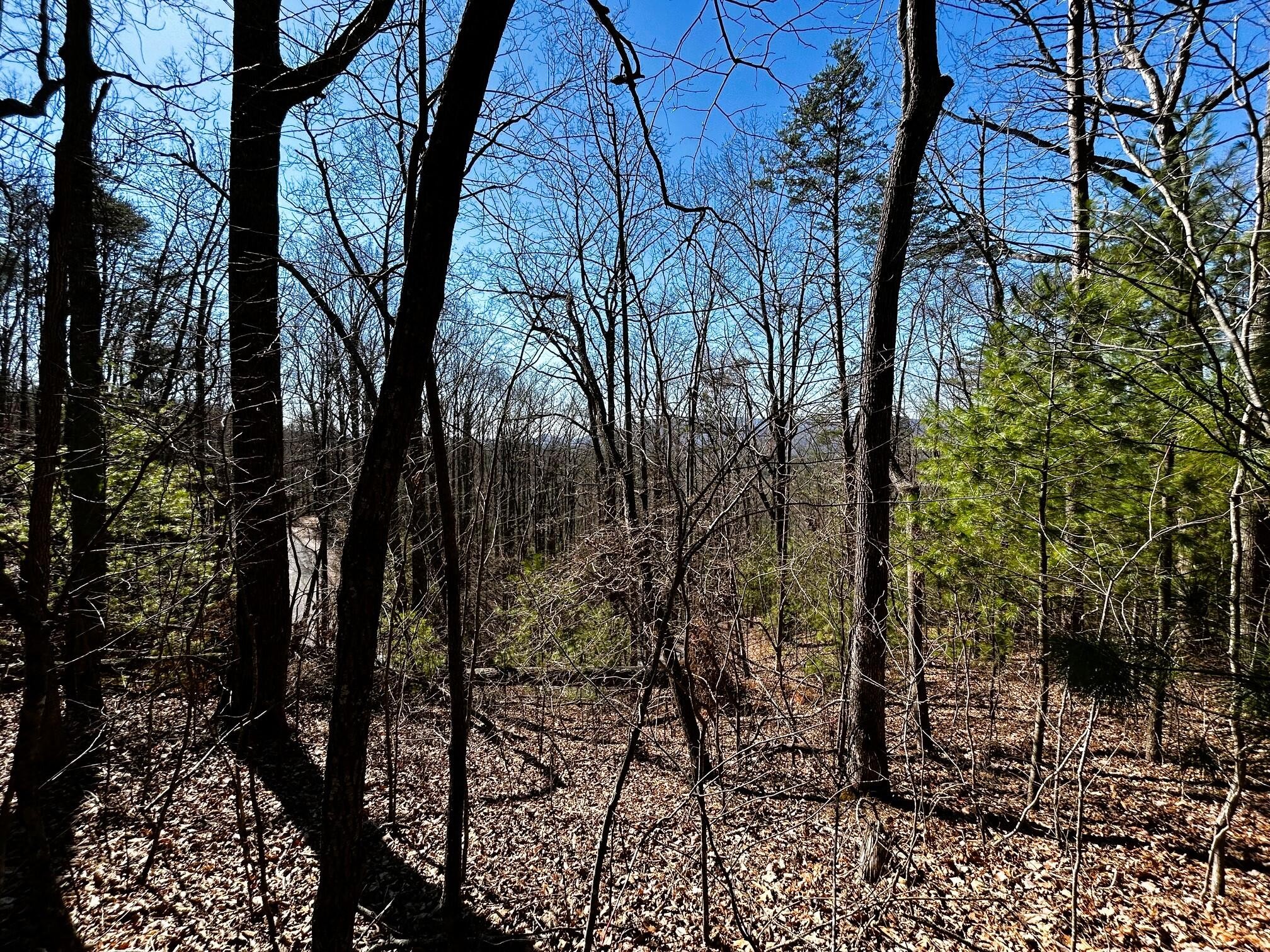 107125 Chestnut Mountain Road Reliance, TN 37369 - Photo 28 of 32