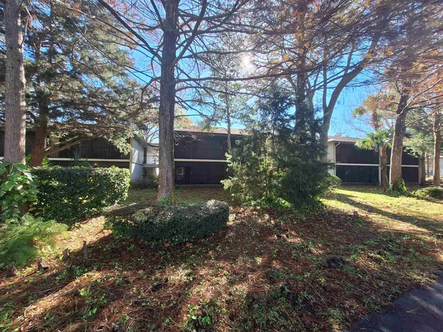 a view of a backyard with large trees