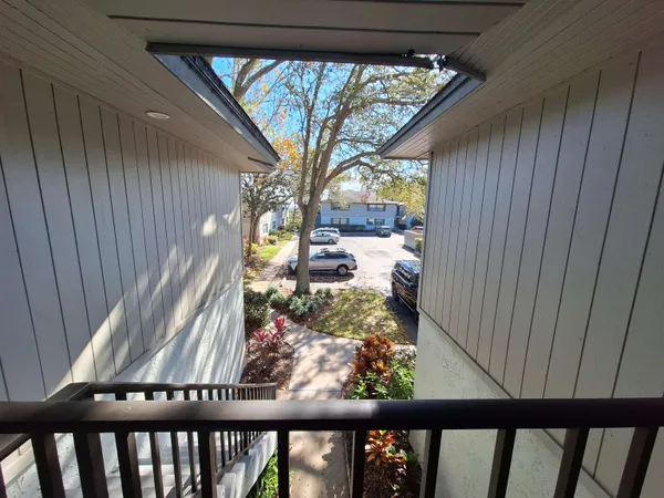 a view of yard with tree