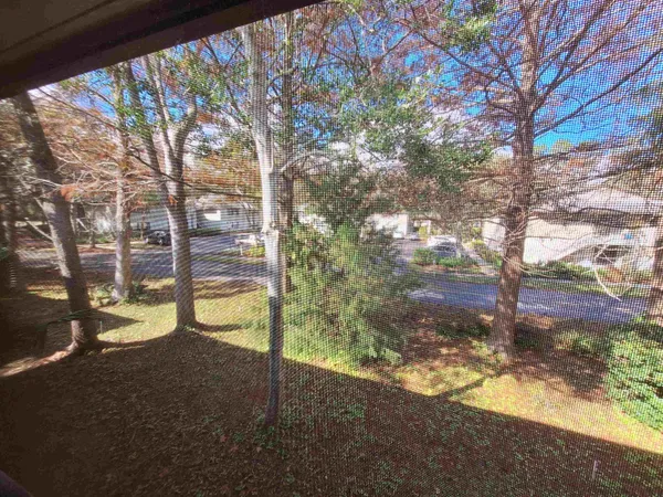 a view of a yard with a tree