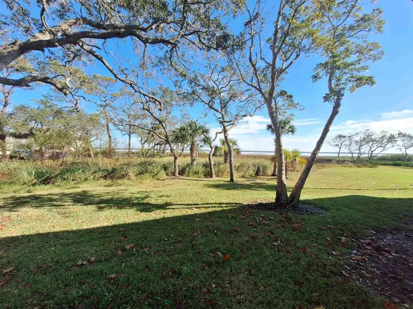 a view of a yard with a large tree