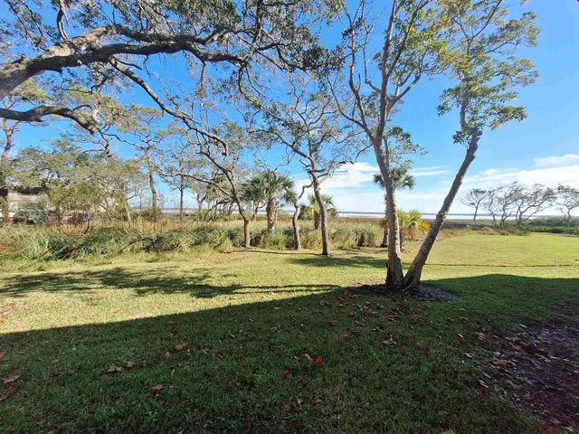a view of a yard with a large tree