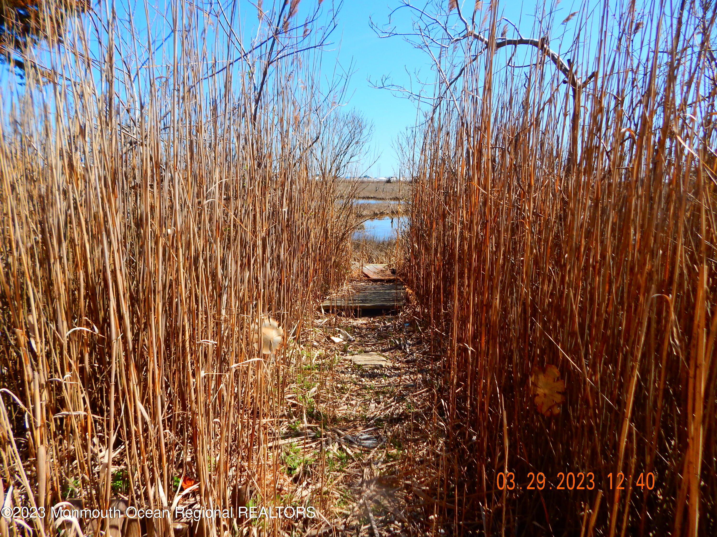 29 Gale Road Brick, NJ 08723 - Photo 27 of 44 DSCN2580