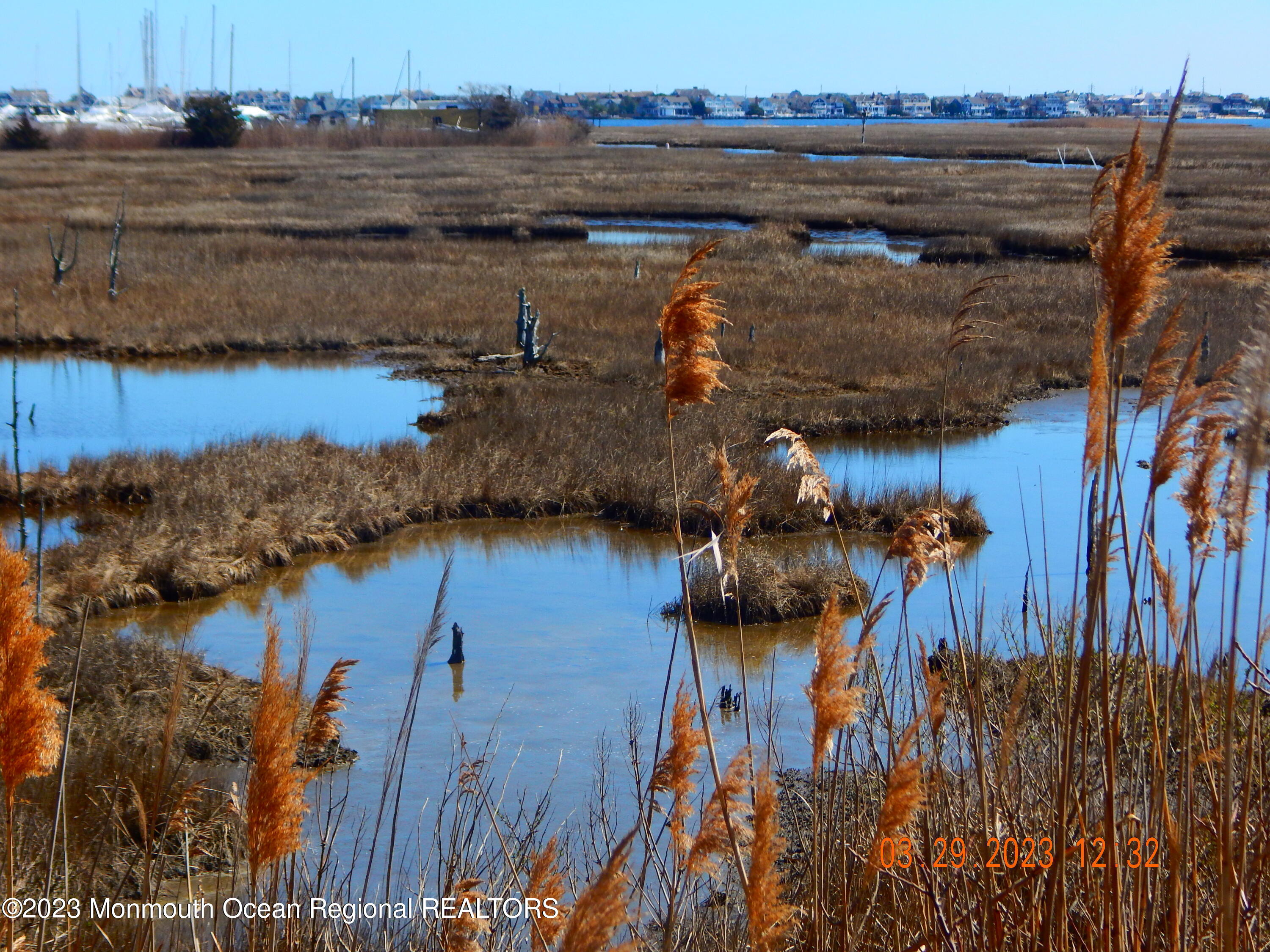 29 Gale Road Brick, NJ 08723 - Photo 33 of 44 DSCN2576