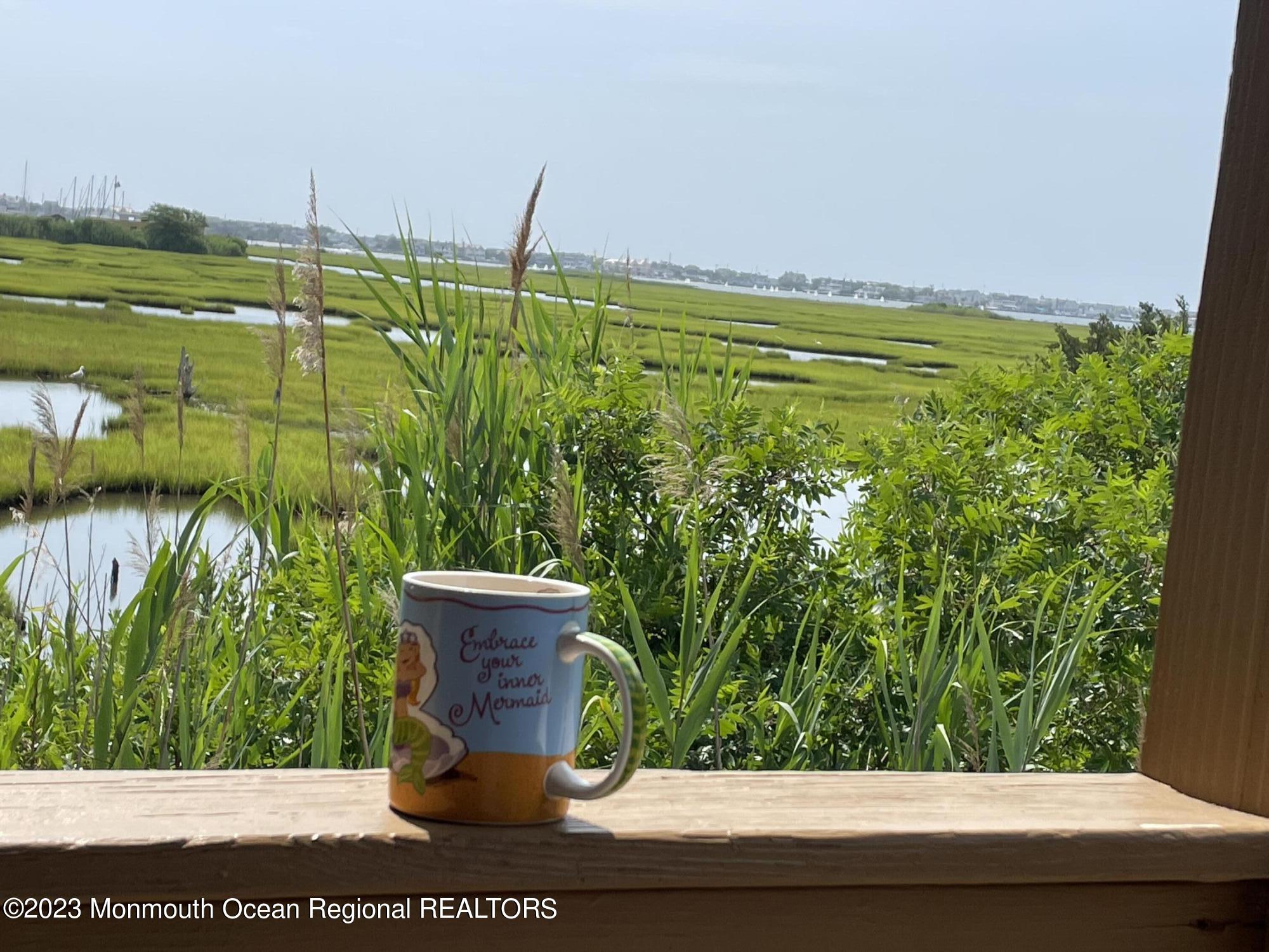 29 Gale Road Brick, NJ 08723 - Photo 44 of 44 IMG_1209