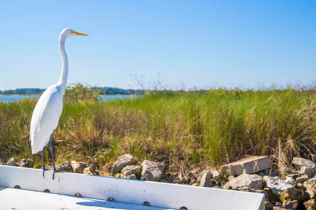 $369,999 | 110 Ocean Hollow Lane, Unit 115, St. Augustine, FL 32084