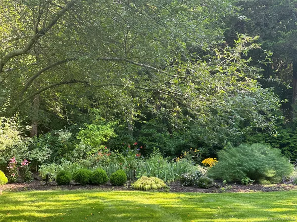 a view of a large yard with large trees