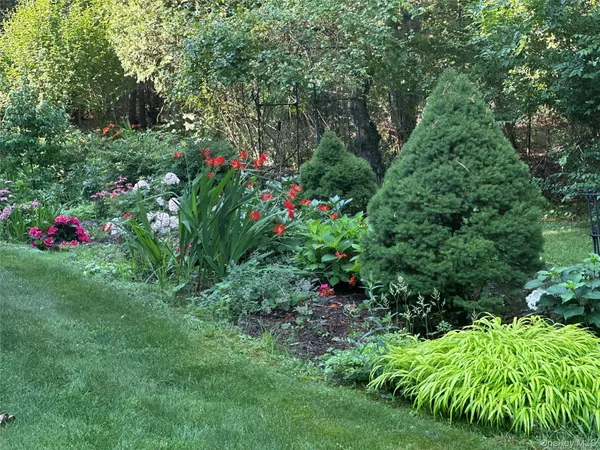 a view of a garden with plants and large trees