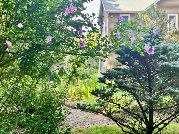 a view of a flower in a garden